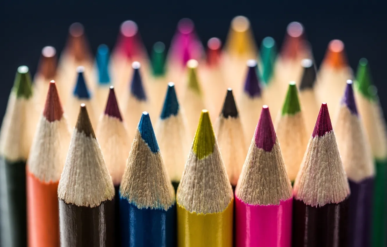 Photo wallpaper macro, blue, yellow, pink, brown, raspberry, colored pencils
