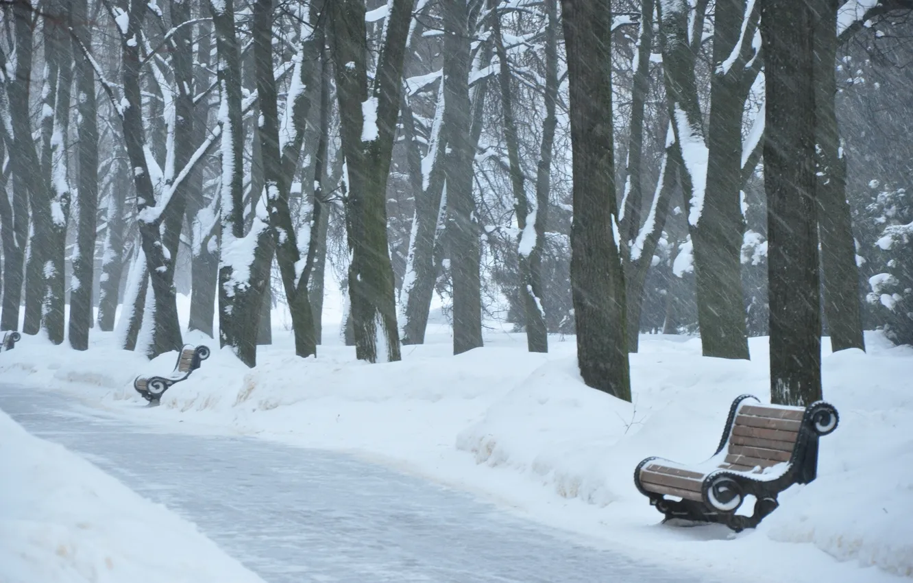 Photo wallpaper bench, Park, Blizzard