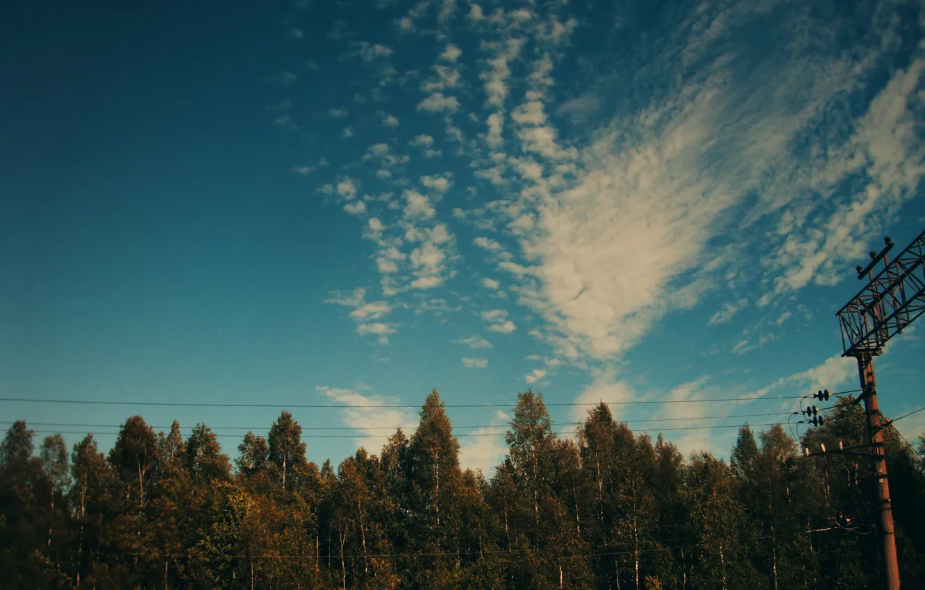 Photo wallpaper the sky, clouds, trees, wire