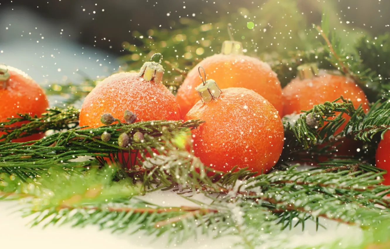 Photo wallpaper holiday, new year, citrus, tangerines, fir-tree branches