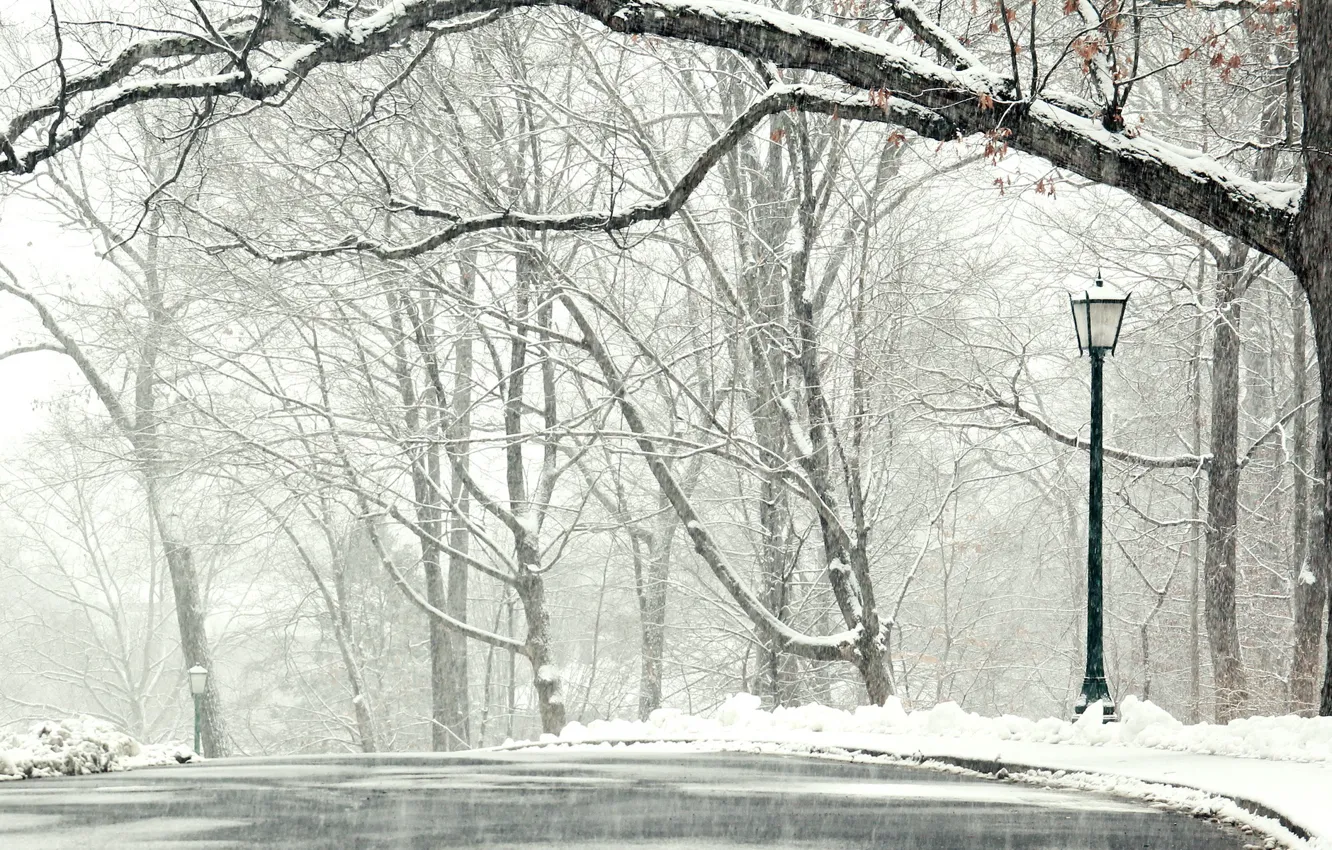 Photo wallpaper winter, road, snow, trees, landscape