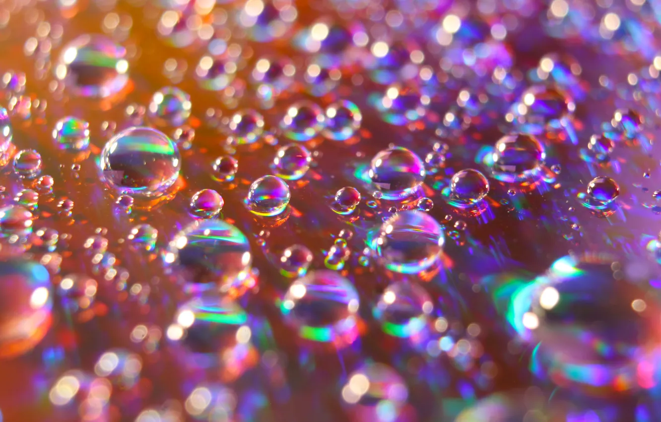 Photo wallpaper drop, water, color