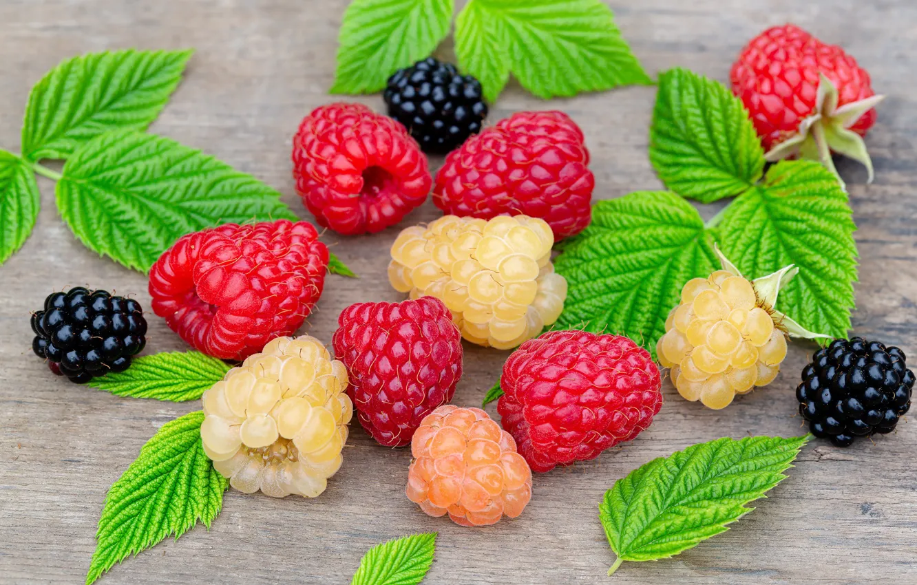 Photo wallpaper green, raspberry, food, pie, elements, it, rich, can