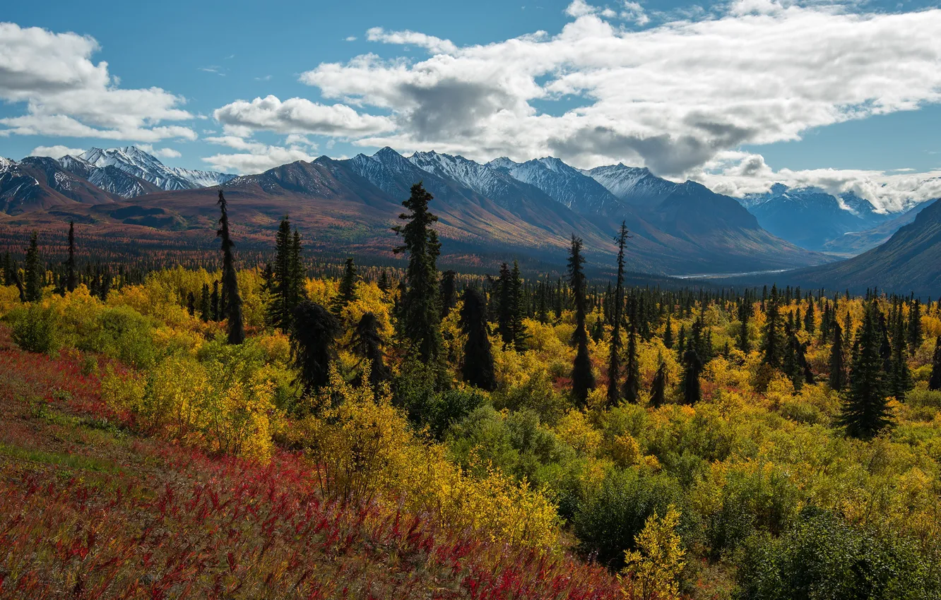 Photo wallpaper autumn, forest, mountains, nature, Chile, Andes, Patagonia