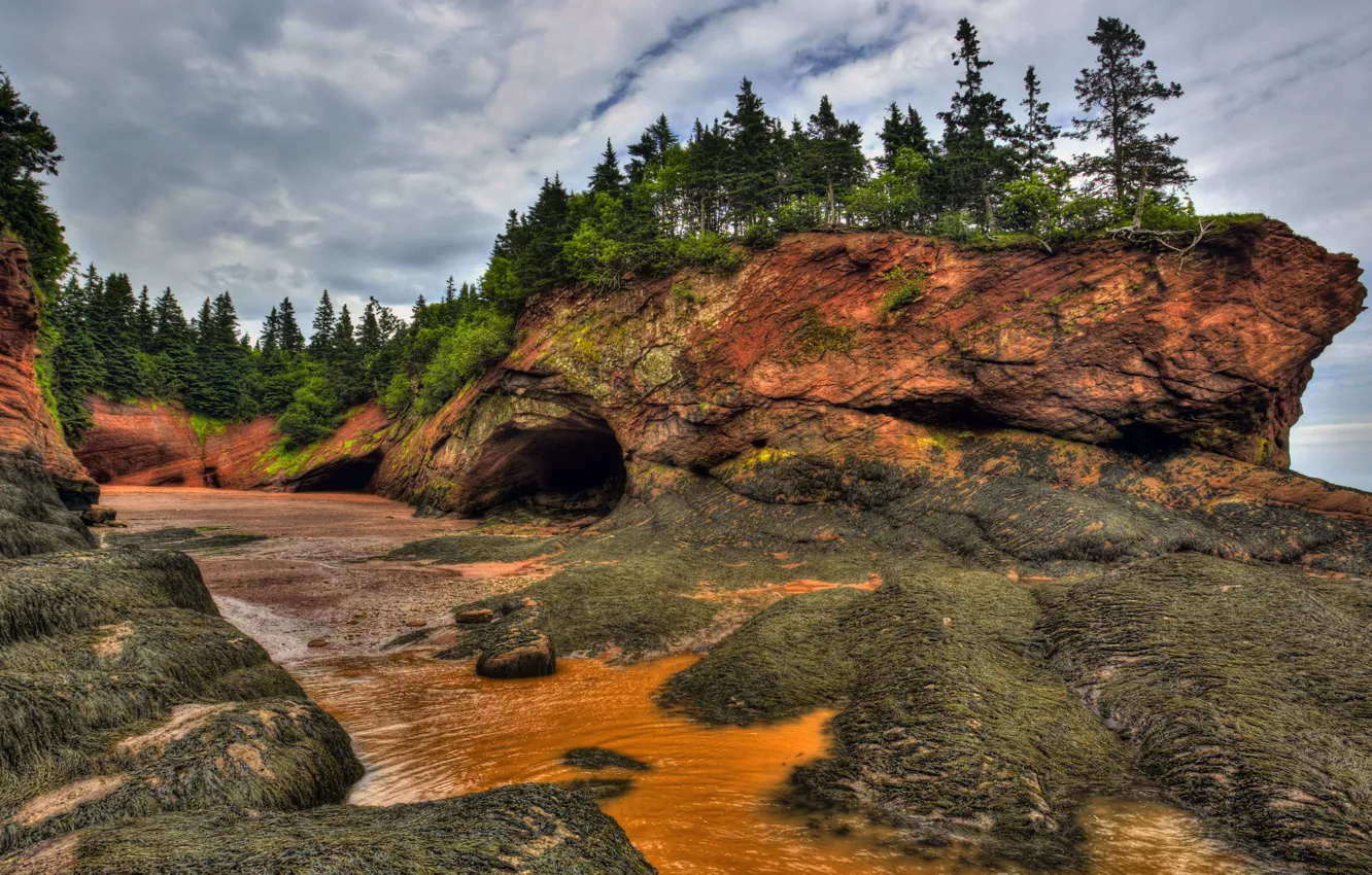 Photo wallpaper the grotto, tide, NB, cave, Canada, rocks