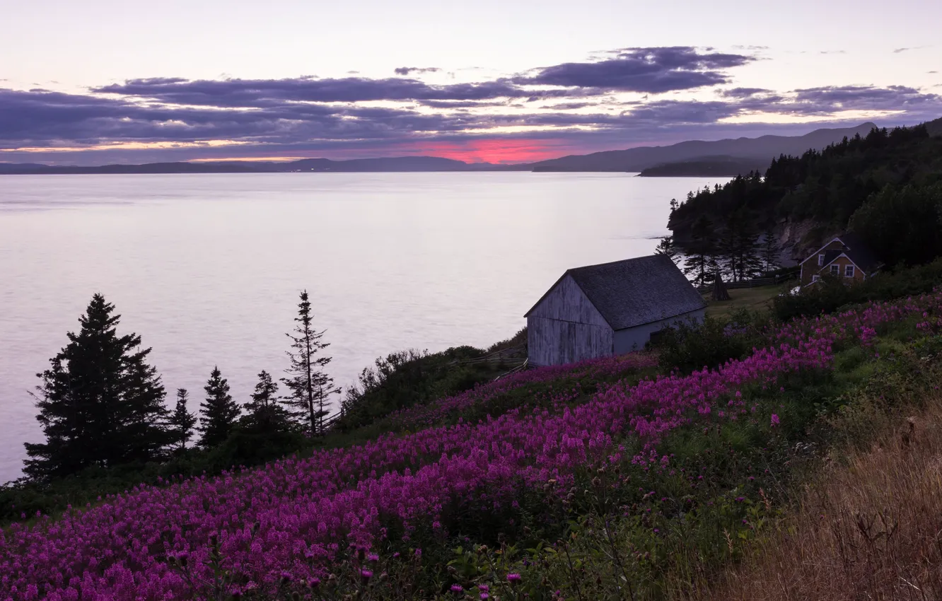 Photo wallpaper flowers, lake, house, Canada