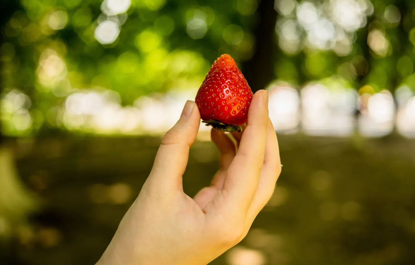 Photo wallpaper summer, berries, hands, strawberry