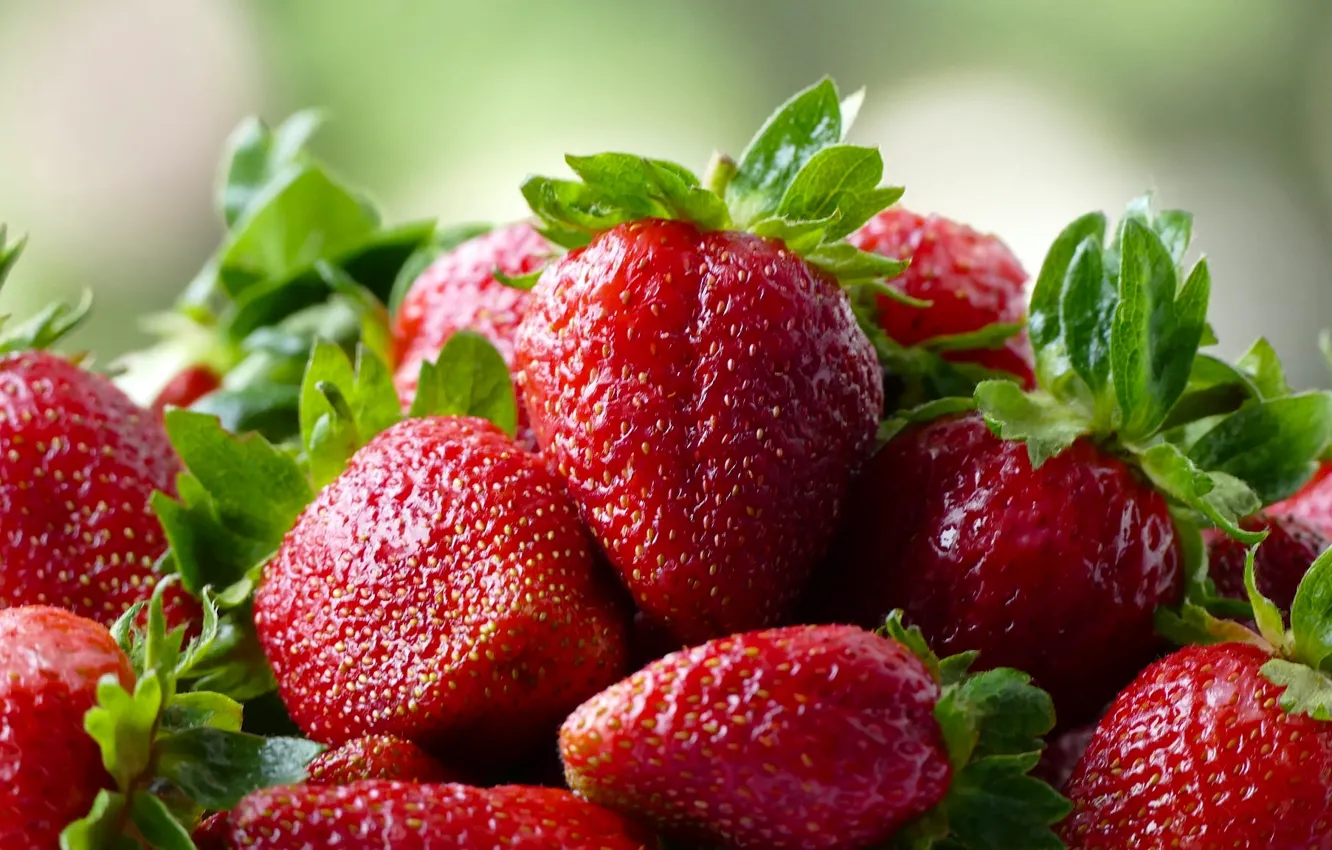 Photo wallpaper macro, berries, strawberry