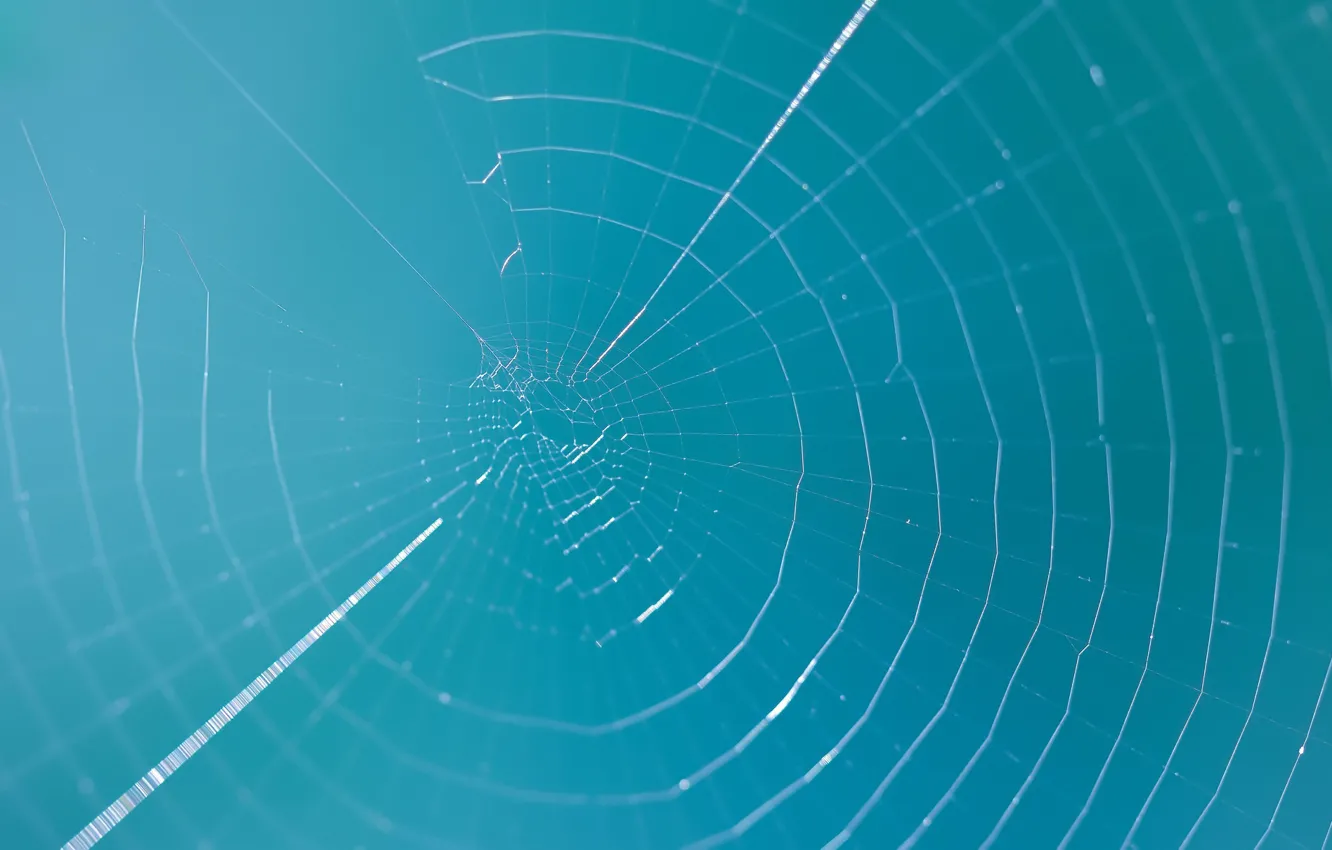 Photo wallpaper nature, background, web