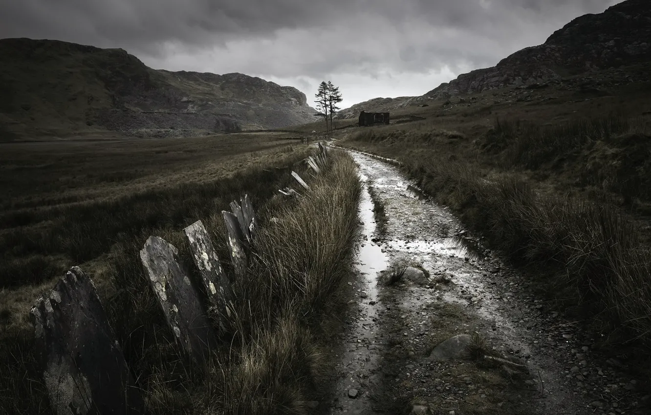 Photo wallpaper road, field, the darkness