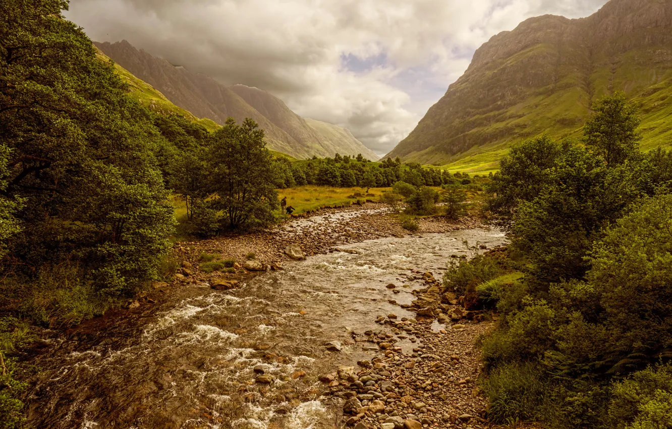 Photo wallpaper trees, mountains, stream, stones, valley, Scotland, the bushes, cloudy