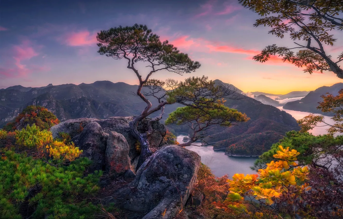 Photo wallpaper stones, mountains, branches, boulders, pine, needles, pond, view