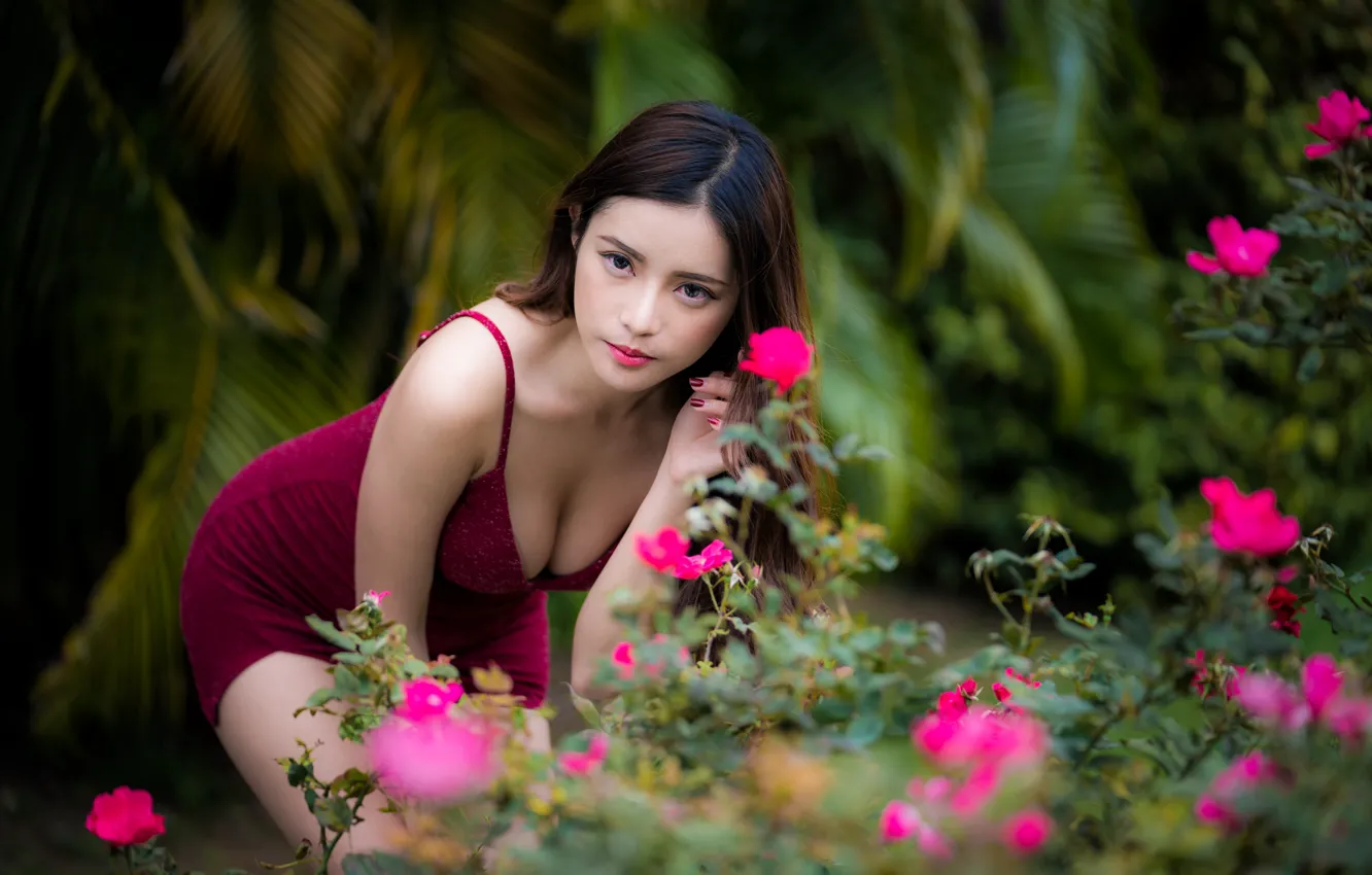 Photo wallpaper girl, pose, neckline, Asian, neckline, bokeh