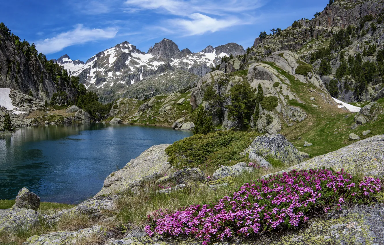 Photo wallpaper flowers, mountains, lake, rocks