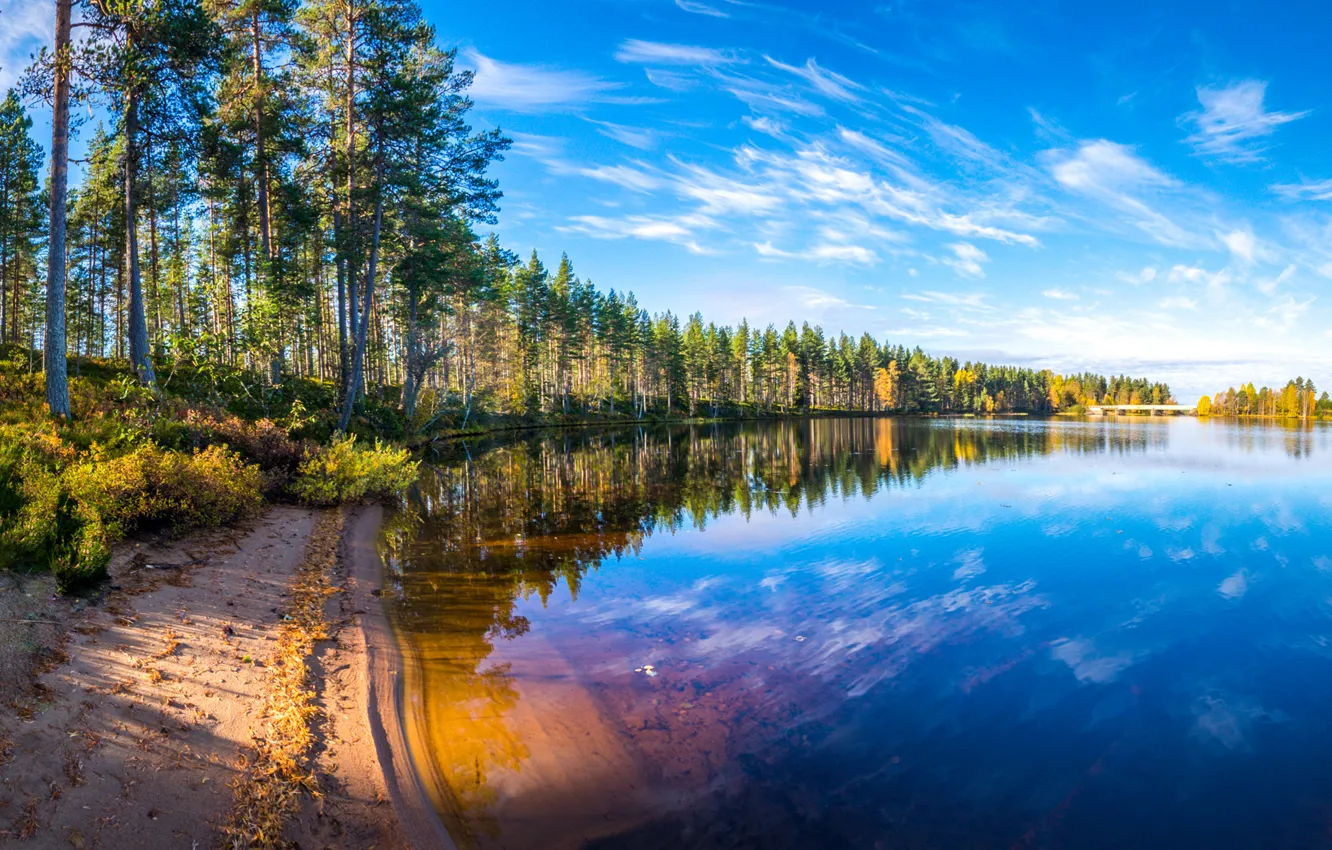 Photo wallpaper autumn, forest, clouds, trees, landscape, reflection, river, shore