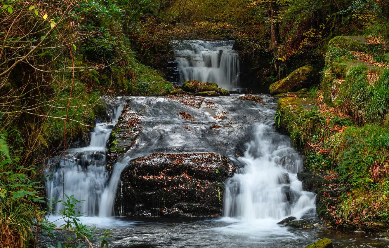 Photo wallpaper autumn, forest, leaves, trees, stream, stones, waterfall, moss
