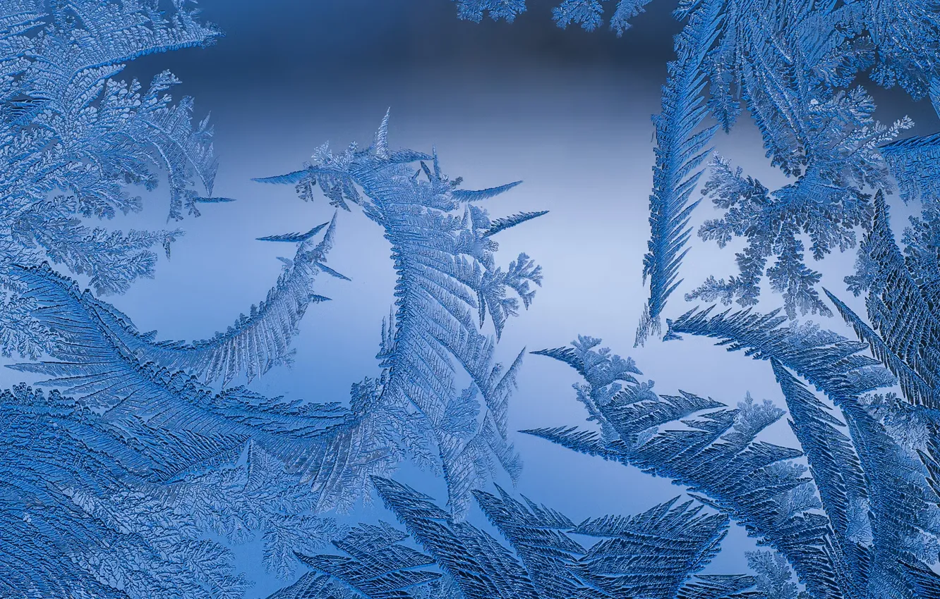 Photo wallpaper winter, frost, macro, frost, frost, patterns on the window