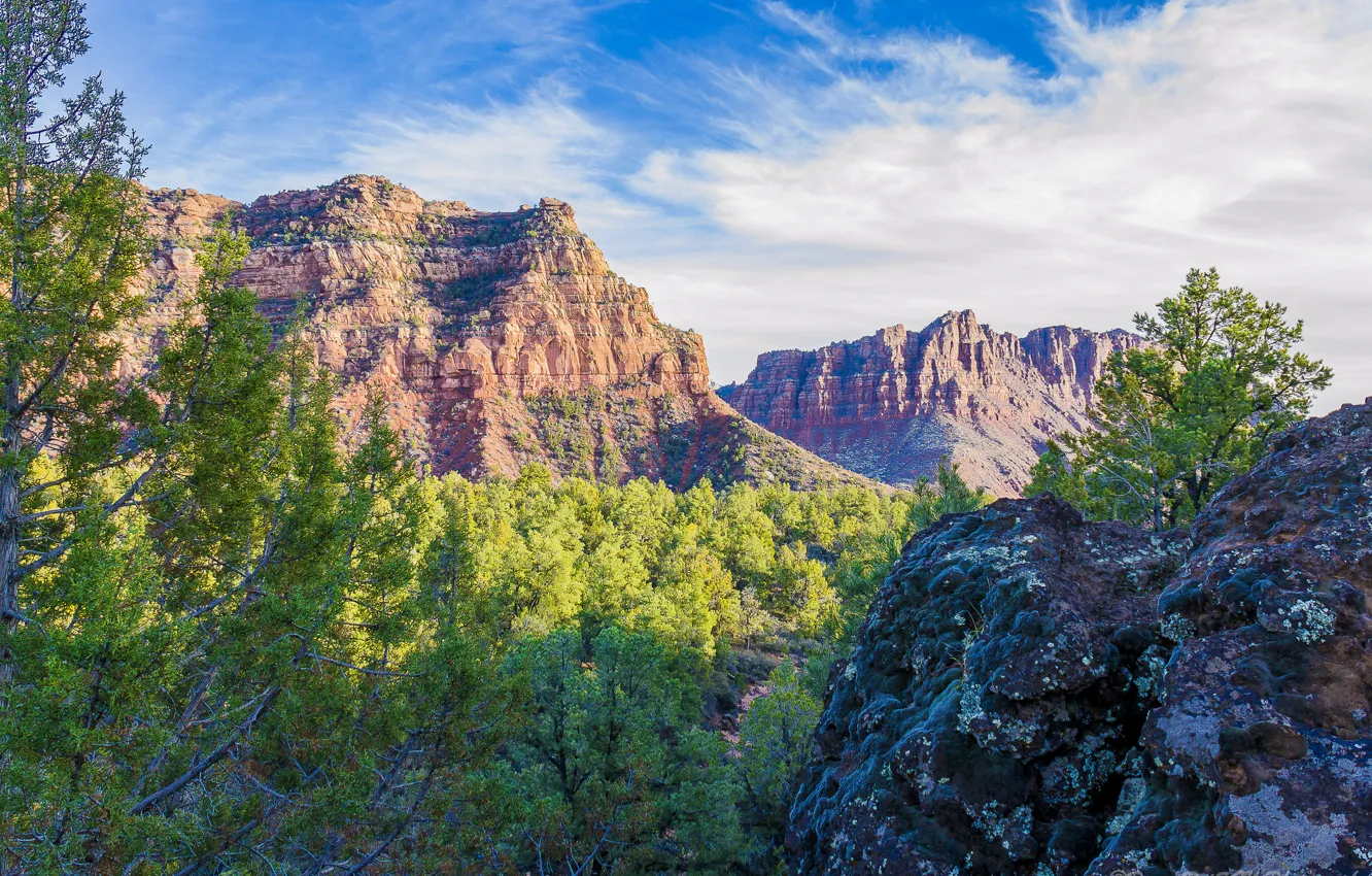 Photo wallpaper the sky, clouds, trees, mountains, rocks, valley