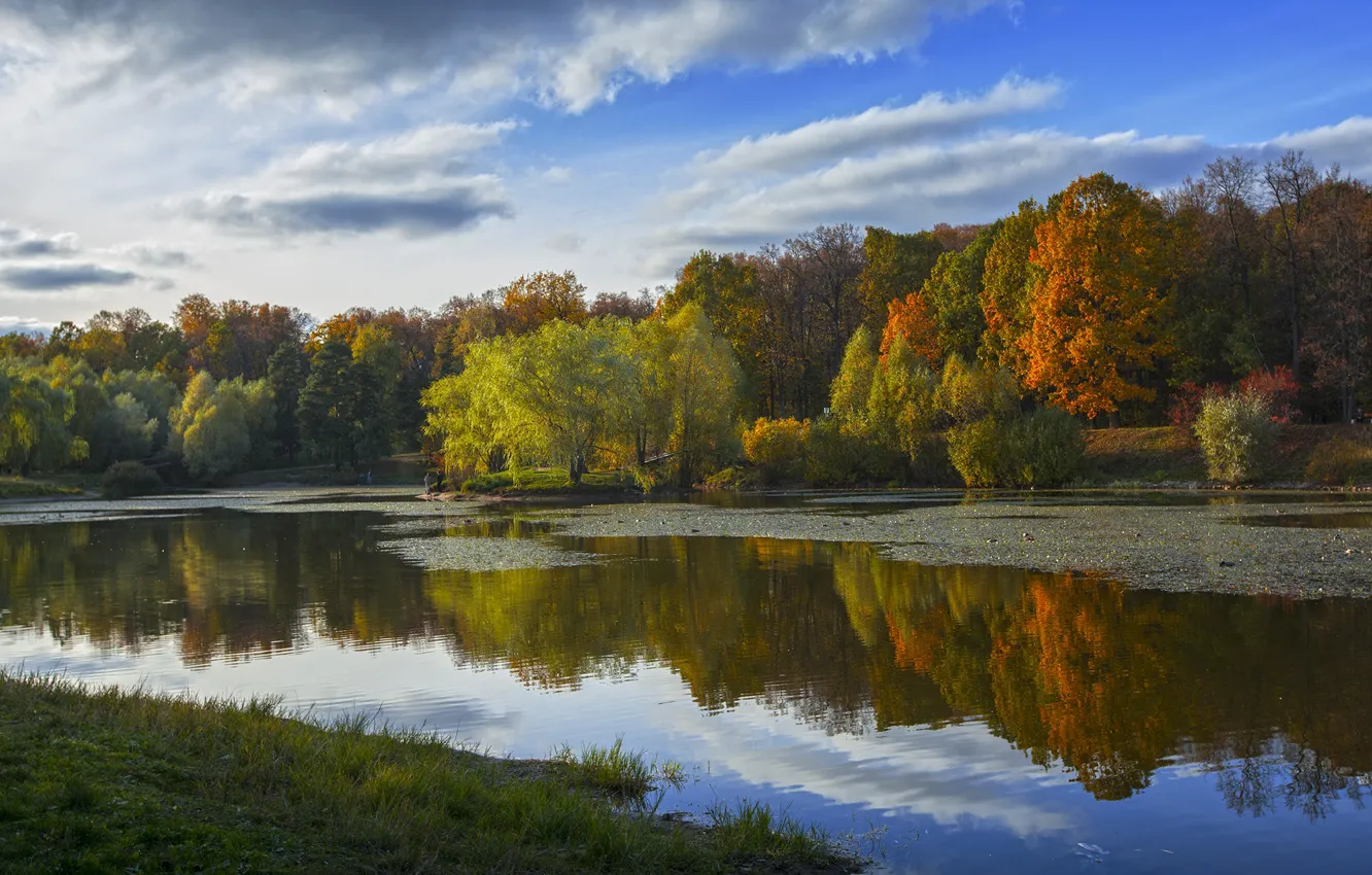 Photo wallpaper autumn, forest, lake, reflection, shore