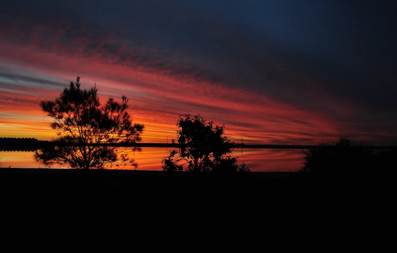 Photo wallpaper trees, sunset, lake, silhouette, twilight