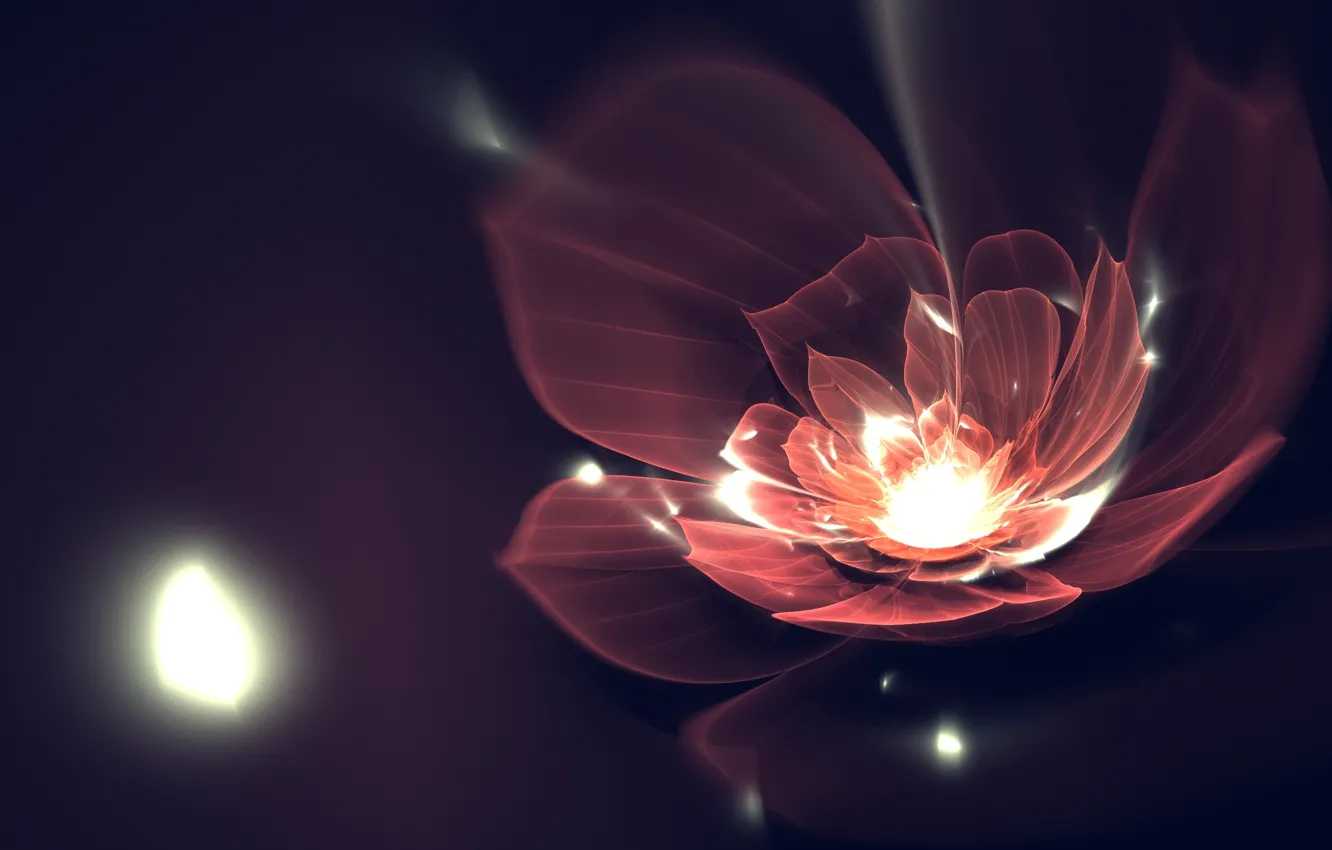 Photo wallpaper line, flowers, petals, art, fractal, Fractal