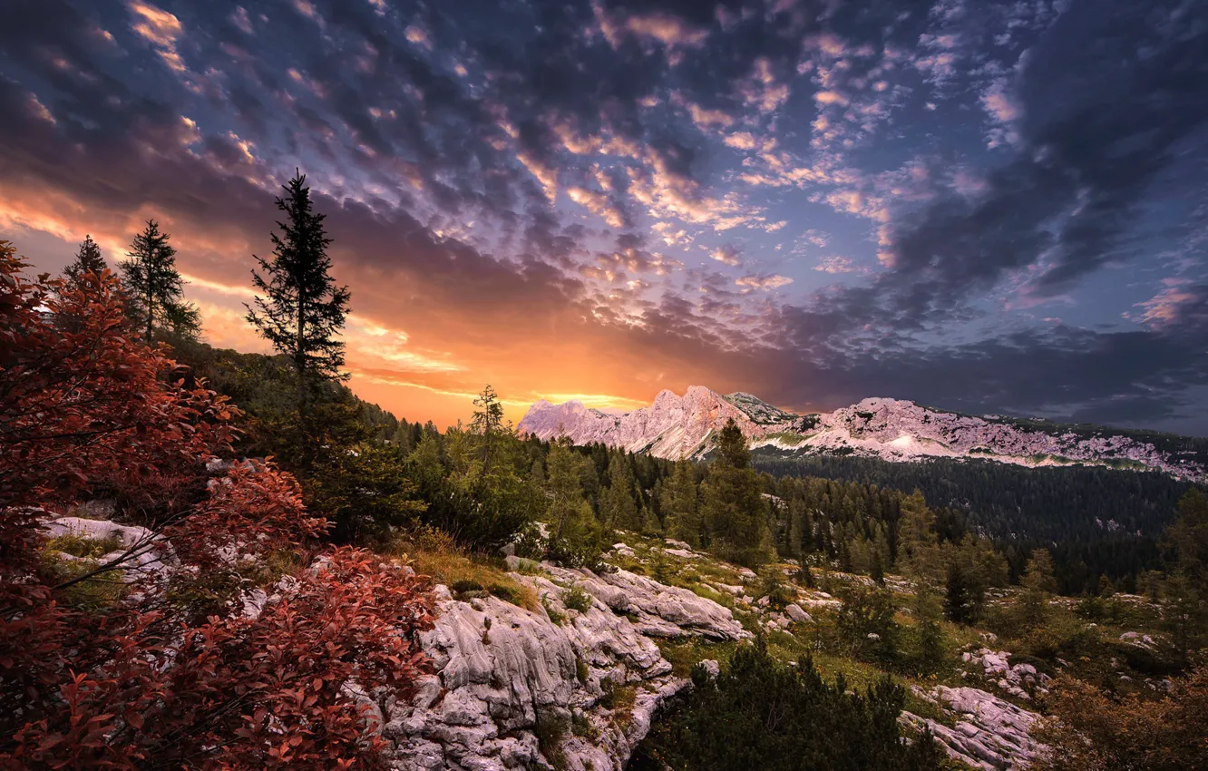 Photo wallpaper sunset, mountains, nature