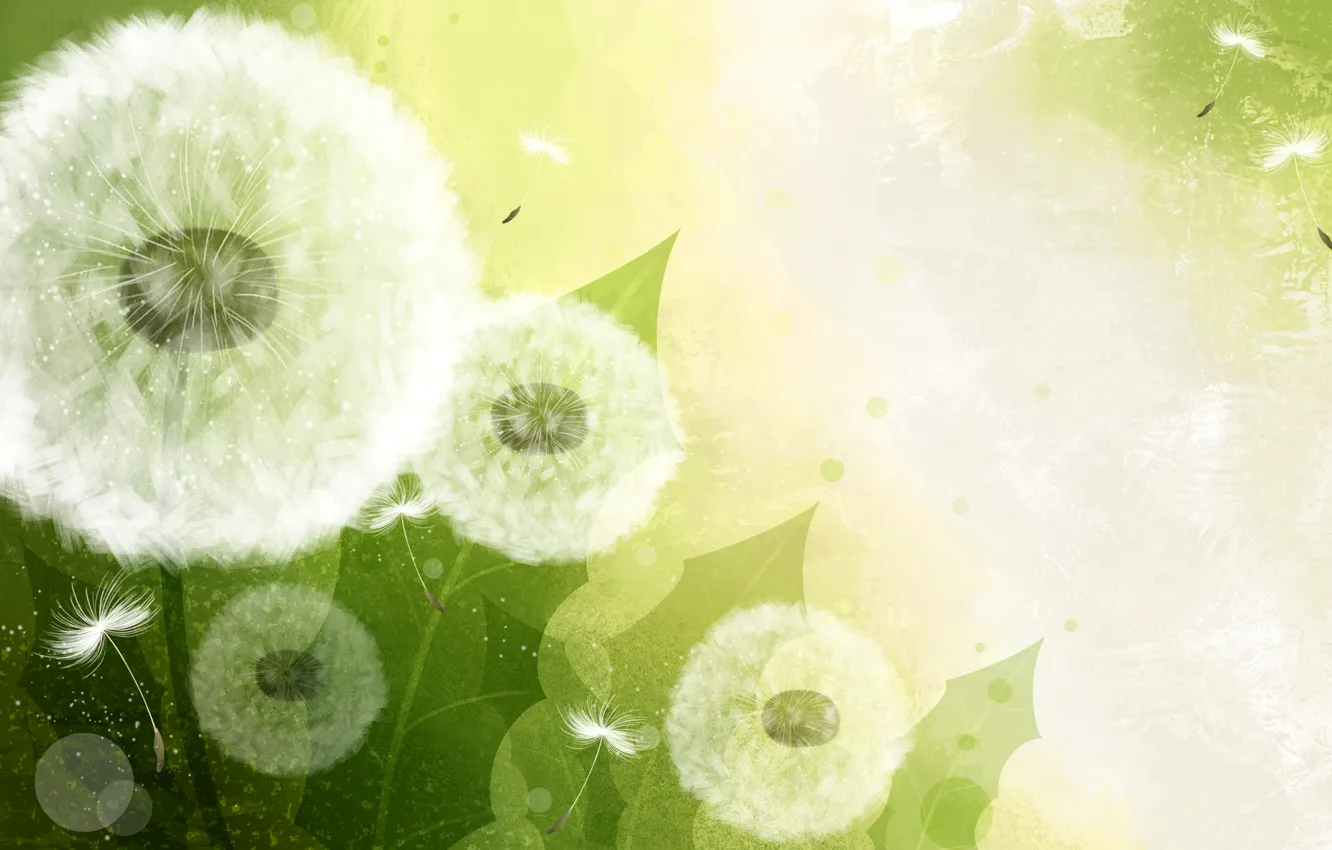 Photo wallpaper nature, dandelion, vector, blade of grass