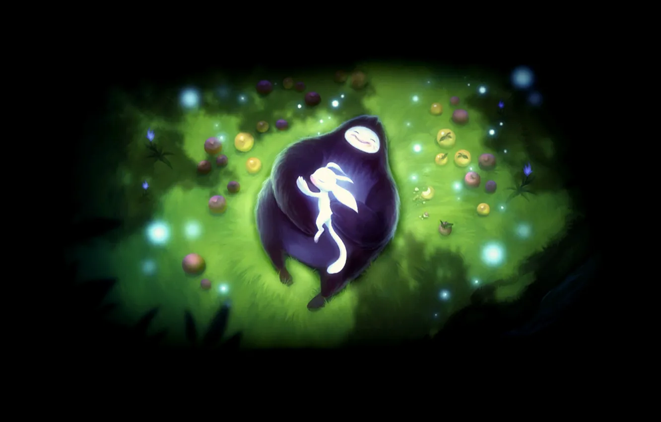 Photo wallpaper together, family, forest, Ori, Again