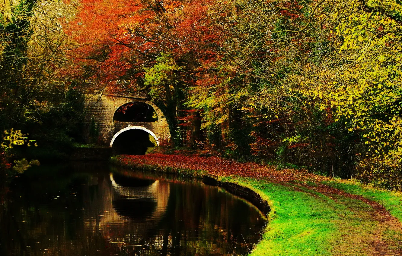 Photo wallpaper autumn, forest, leaves, trees, landscape, nature, lake