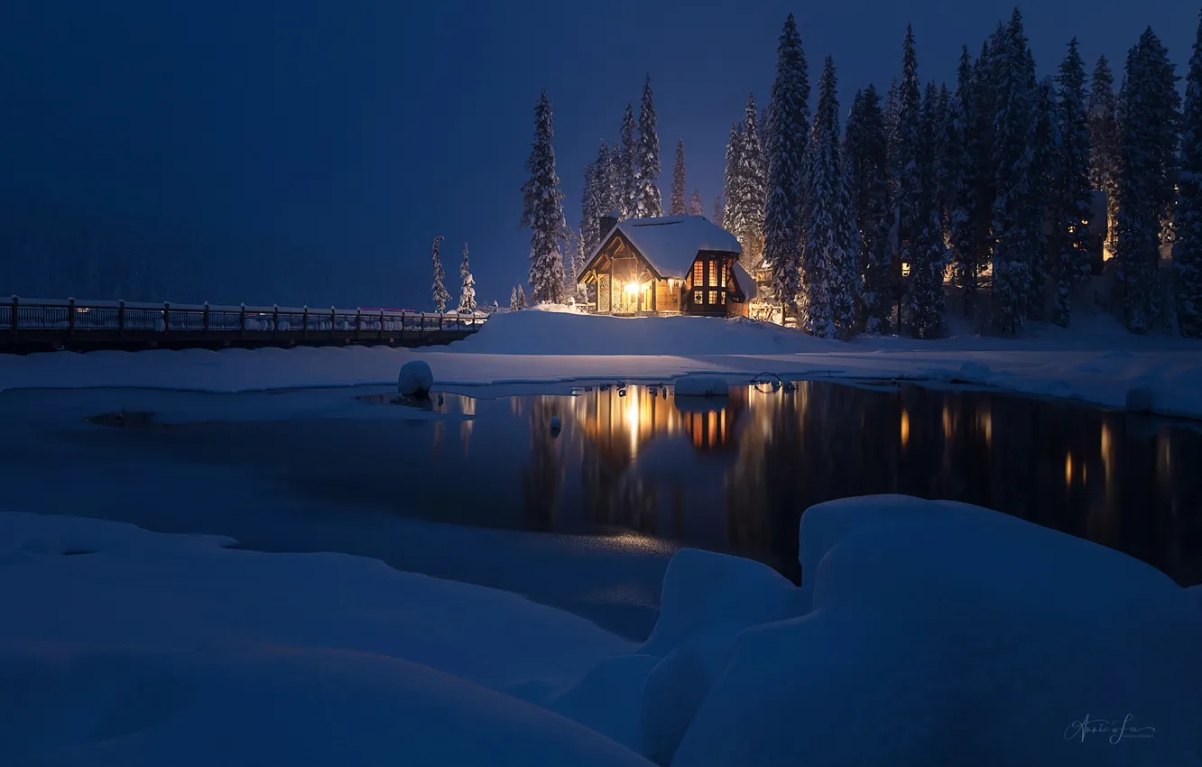 Photo wallpaper winter, forest, light, night, nature, lights, lake, home