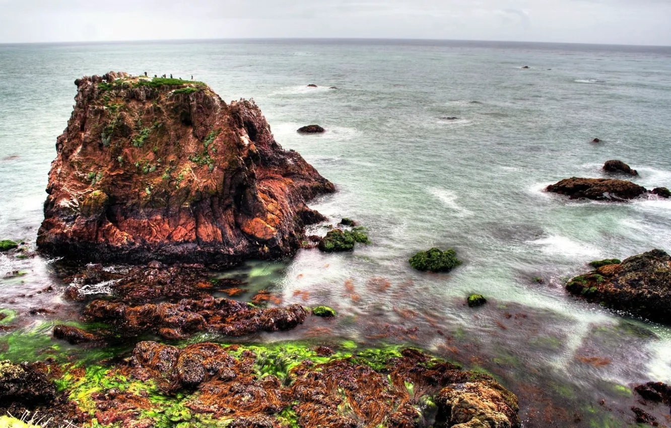 Photo wallpaper rock, trees, waterfalls