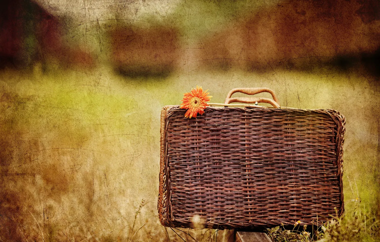 Photo wallpaper flower, style, background, suitcase
