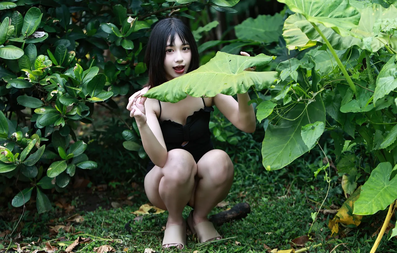 Photo wallpaper leaves, girl, brunette, Asian, knees