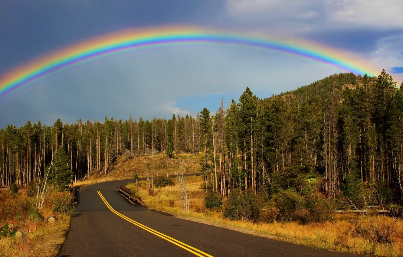 Photo wallpaper road, forest, rainbow