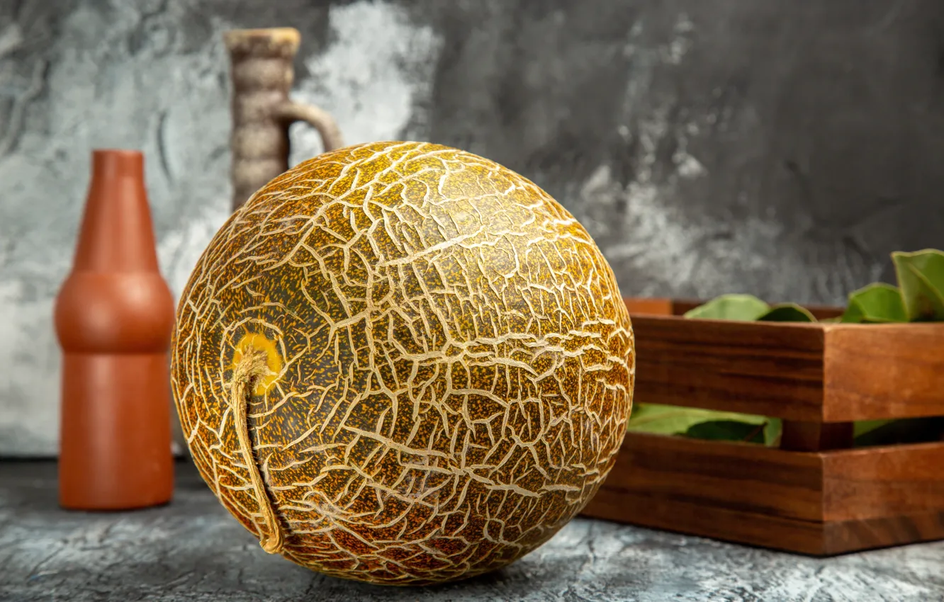 Photo wallpaper leaves, dishes, box, grey background, composition, melon