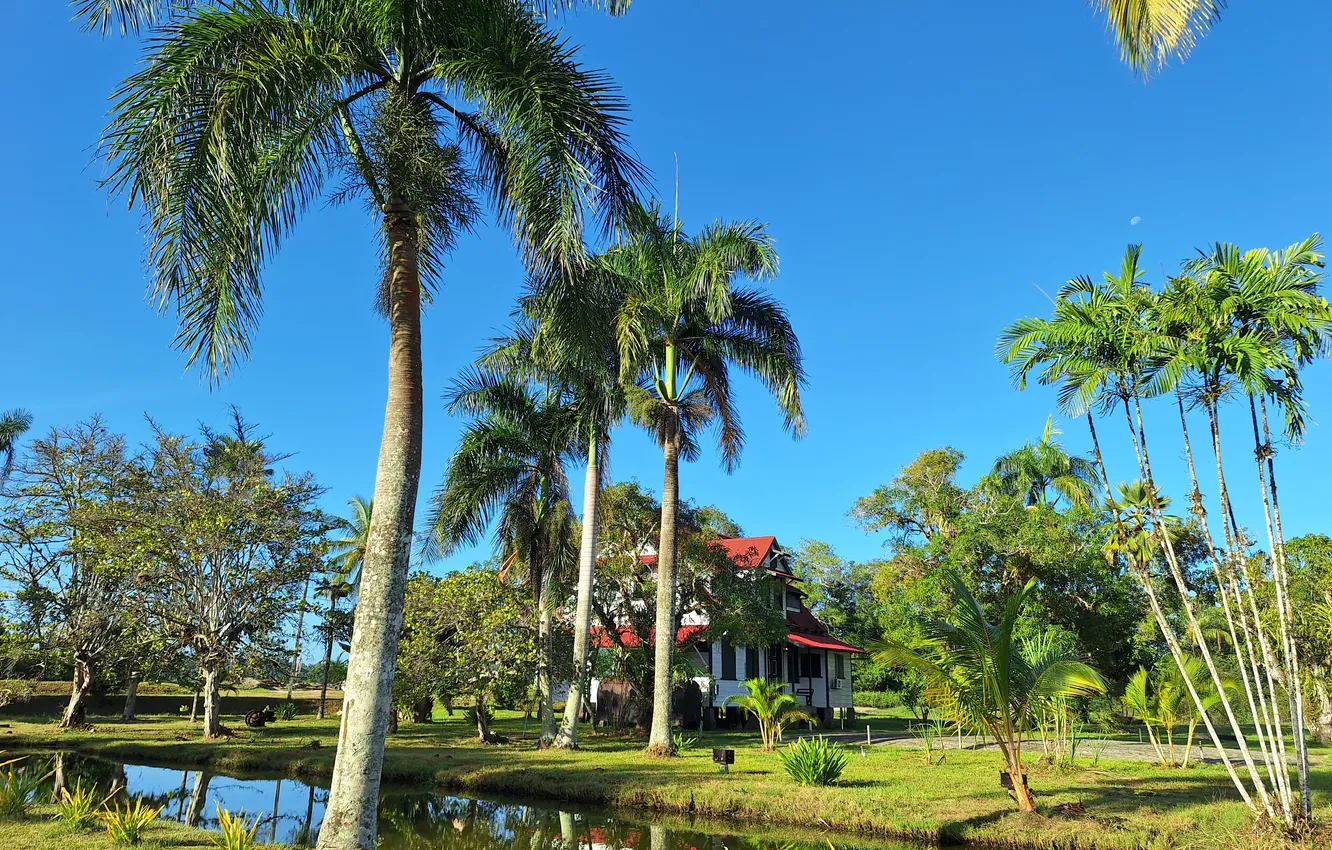 Photo wallpaper Surinam wallpapers, Beautiful wallpapers nature, Frederiksdorp Suriname resort, Tropical resort wallpaper