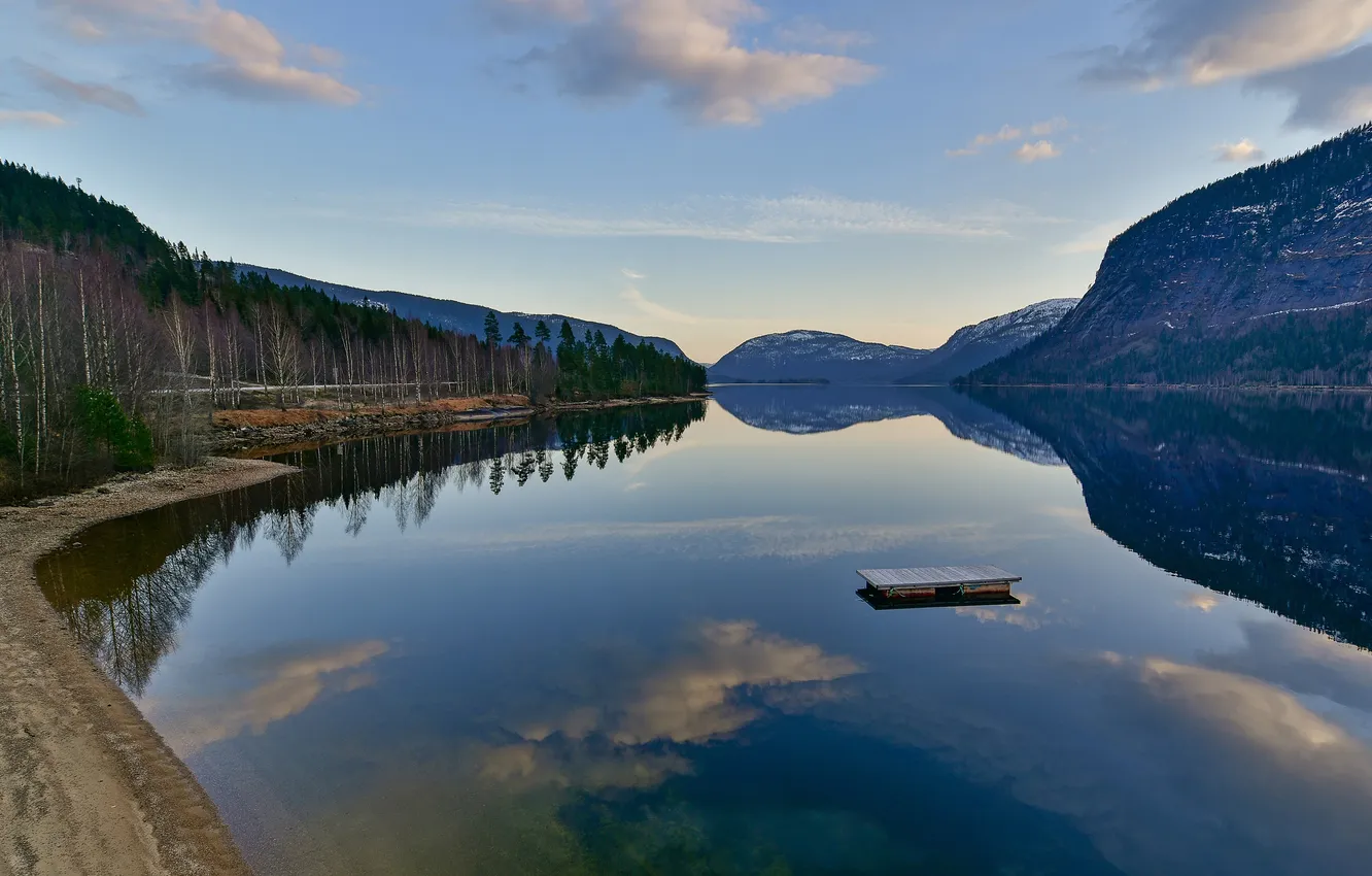 Photo wallpaper forest, mountains, lake, shore