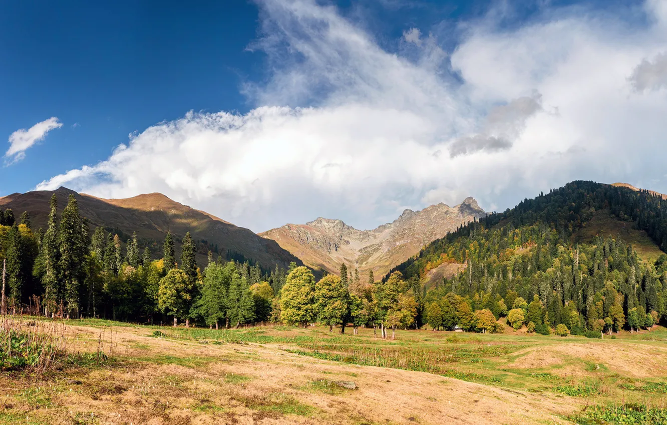 Photo wallpaper autumn, forest, the sky, clouds, trees, mountains, Sunny, Abkhazia