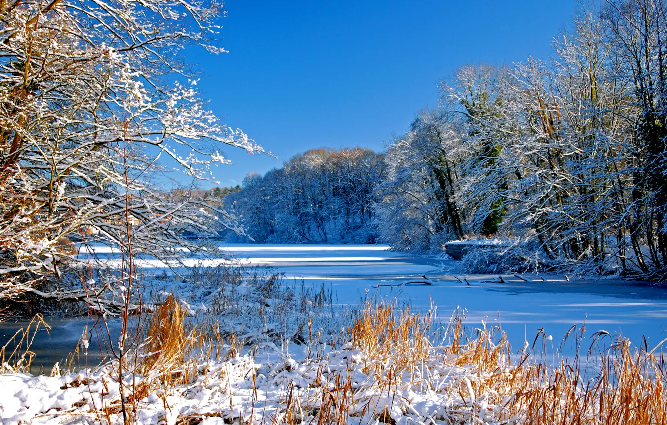Photo wallpaper winter, the sky, snow, trees, river, direction