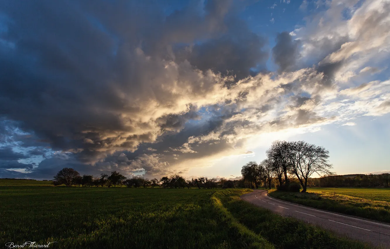 Photo wallpaper road, field, clouds, trees, sunset, the evening