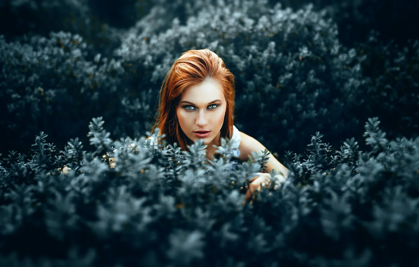 Photo wallpaper look, redhead, Ronny Garcia