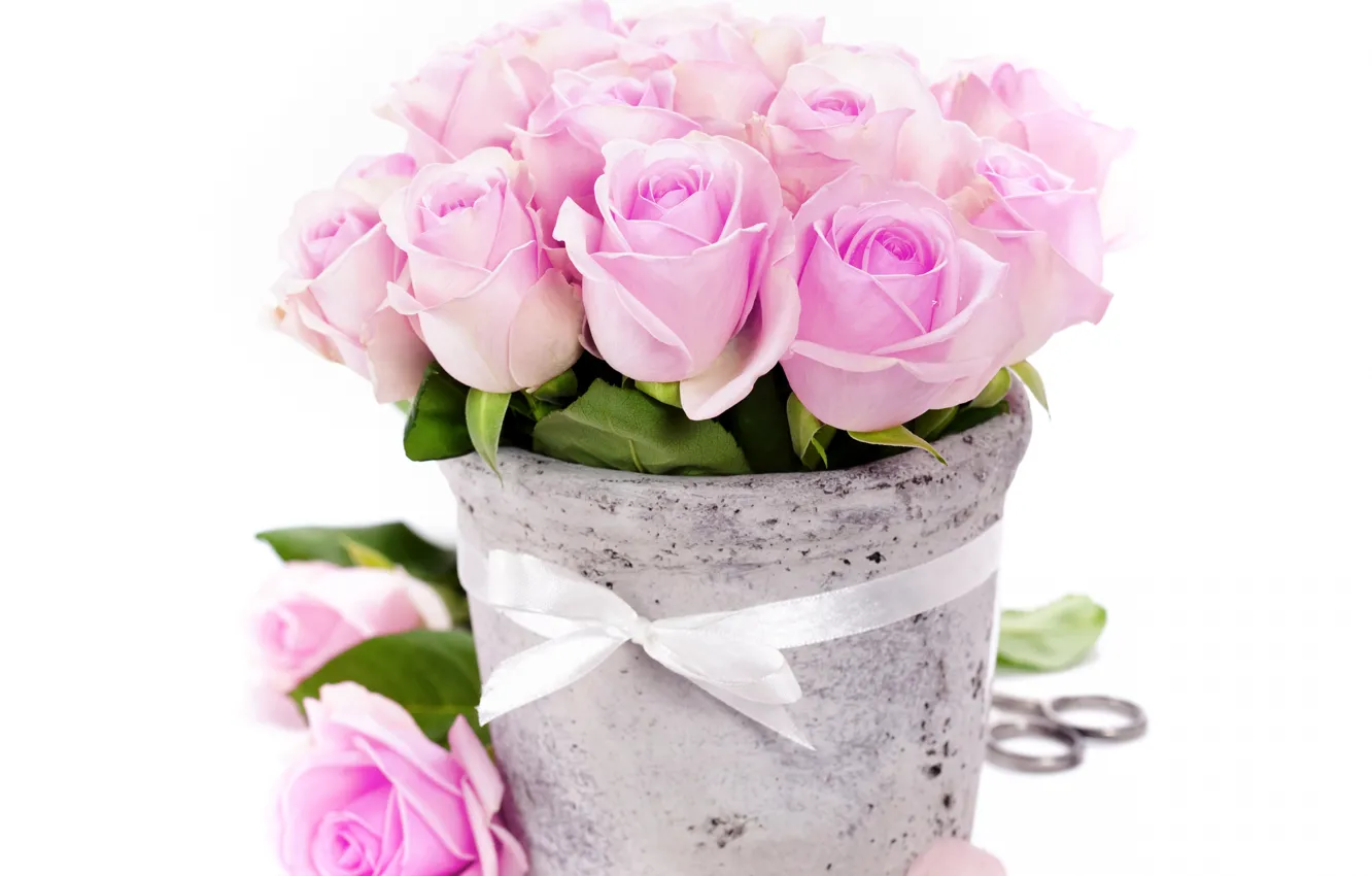Photo wallpaper roses, bouquet, petals, Bud, tape