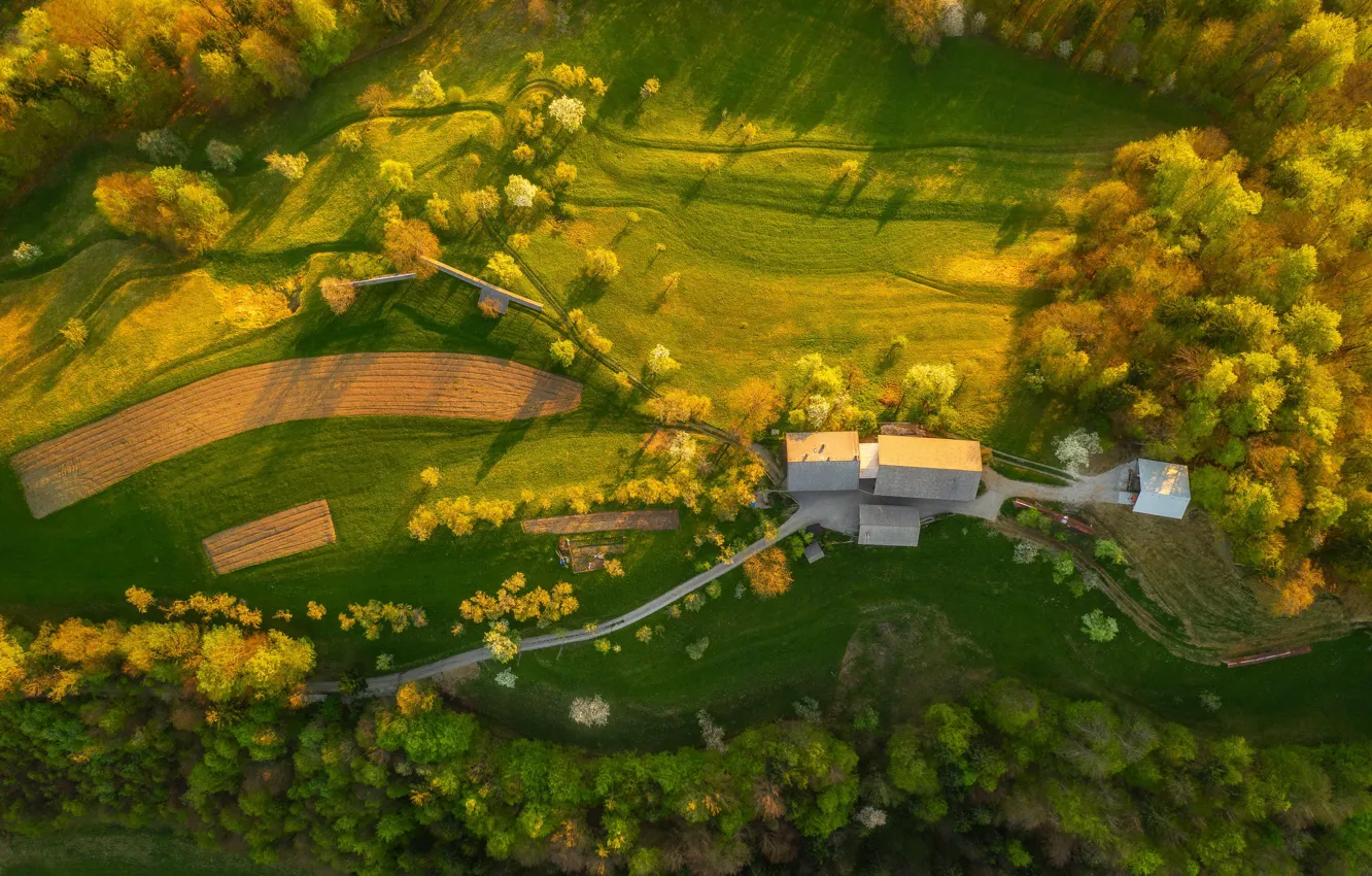 Photo wallpaper field, home, Slovenia