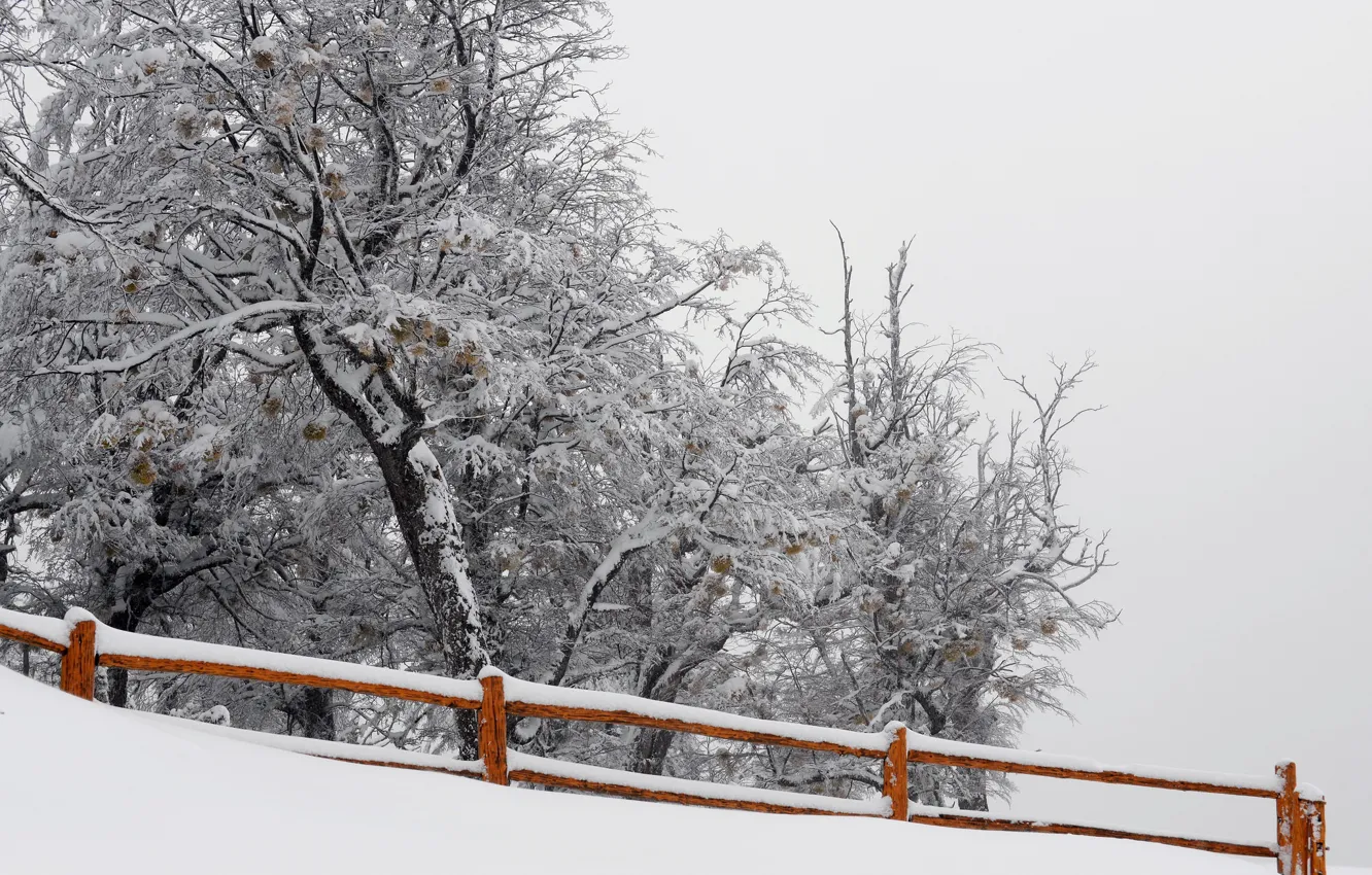 Photo wallpaper snow, trees, nature, the fence