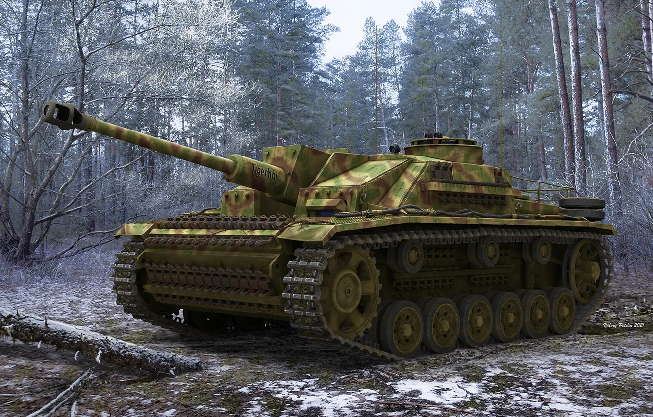 Photo wallpaper forest, Germany, armor, SAU, Tank weapon, StuG III, StuG III Ausf. G