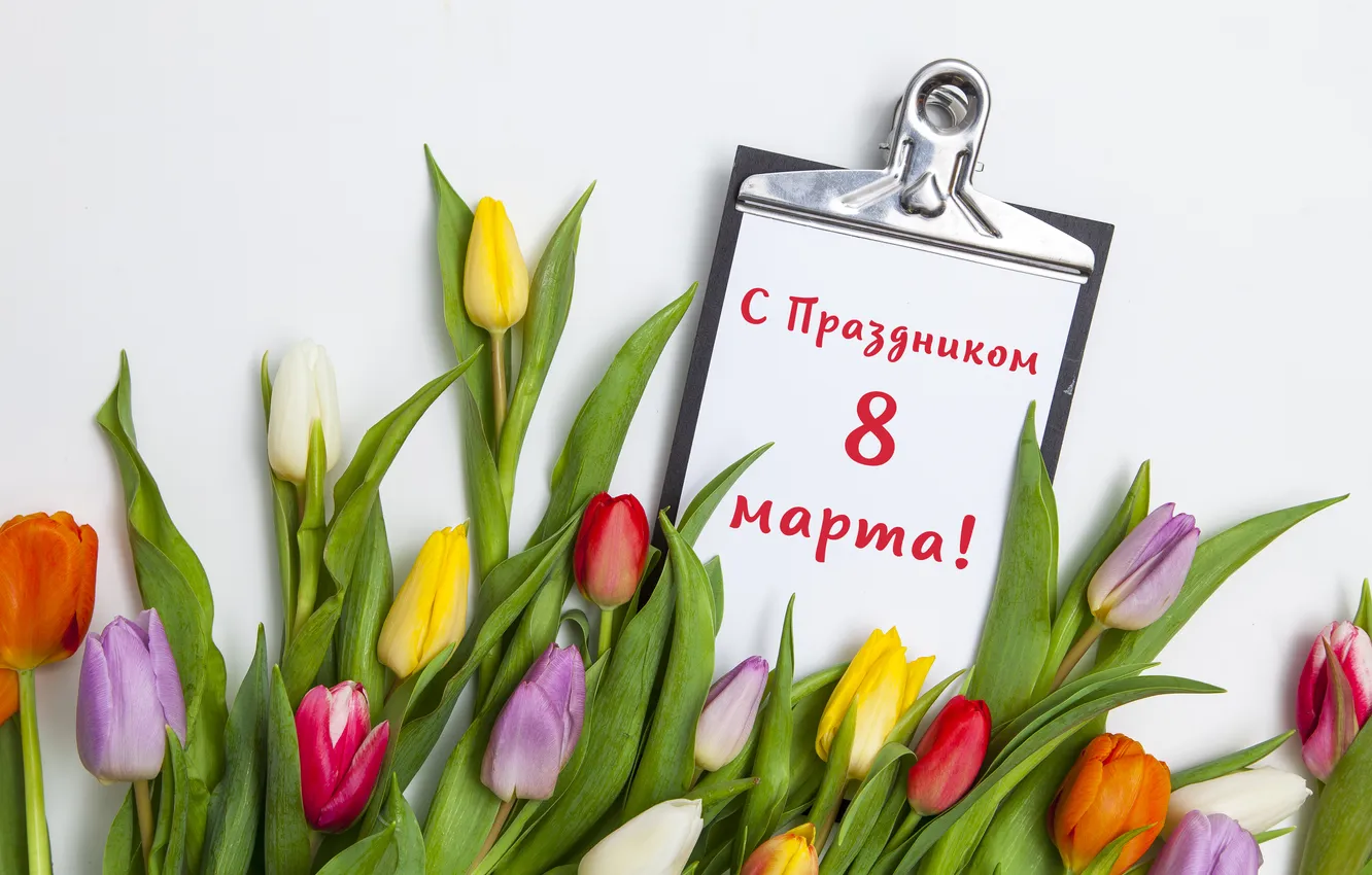 Photo wallpaper flowers, bouquet, colorful, tulips, March 8, pink, flowers, tulips