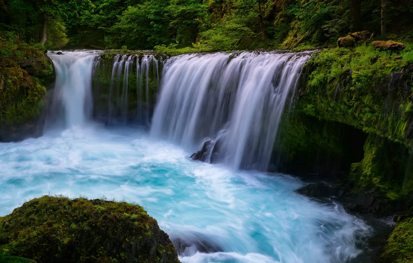 Photo wallpaper greens, forest, summer, water, trees, stones, blue, shore