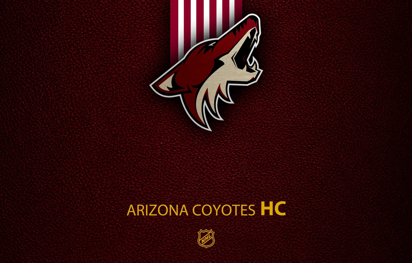 Photo wallpaper wallpaper, sport, logo, NHL, hockey, Arizona Coyotes