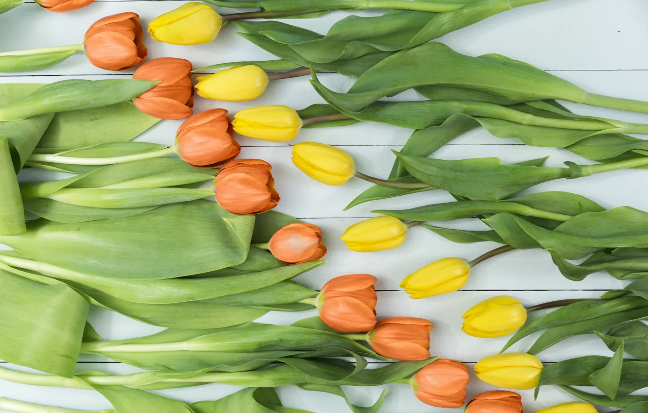 Photo wallpaper tulips, yellow, wood, tulips, orange, decor
