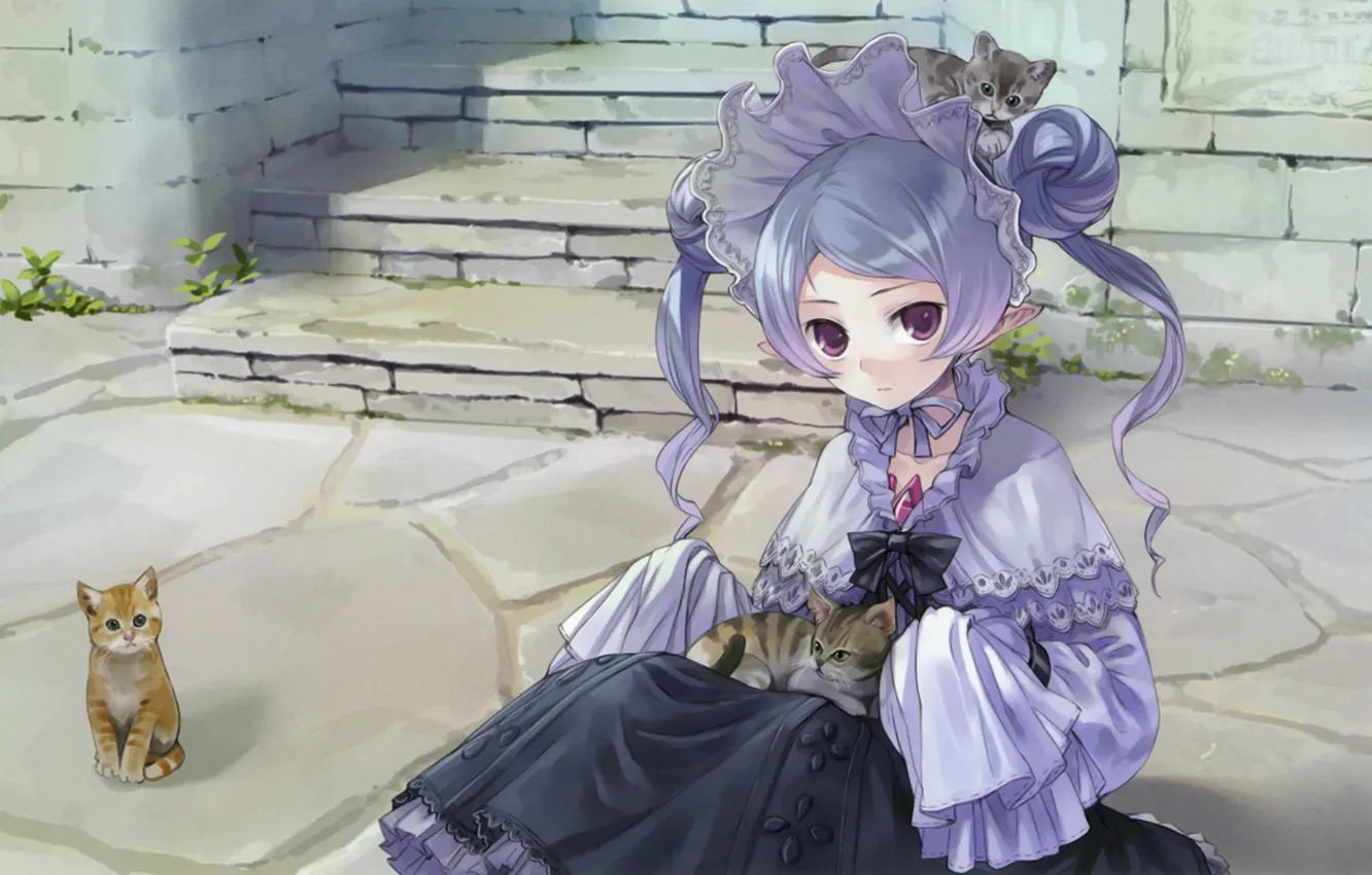 Photo wallpaper cat, cat, street, girl, steps, kitty, sitting, kishida mel